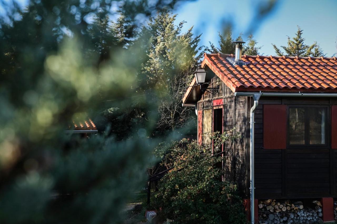 Casa Rural La Canadiense Log Cabin Guest House Buenache de la Sierra ภายนอก รูปภาพ